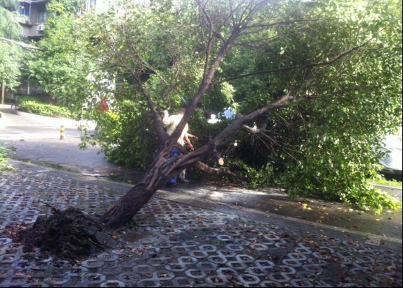 说明: /Uploads/Primary/Aspose.Words.d4eeae82-71bc-48c3-b1ea-ceabe803309f.001.jpeg