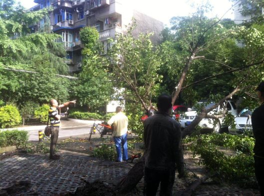 说明: /Uploads/Primary/Aspose.Words.d4eeae82-71bc-48c3-b1ea-ceabe803309f.002.jpeg