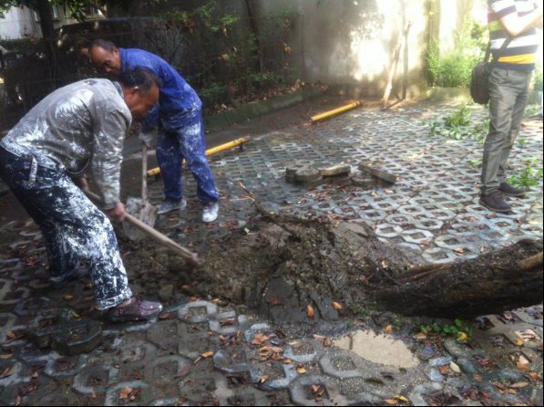 说明: /Uploads/Primary/Aspose.Words.d4eeae82-71bc-48c3-b1ea-ceabe803309f.003.jpeg