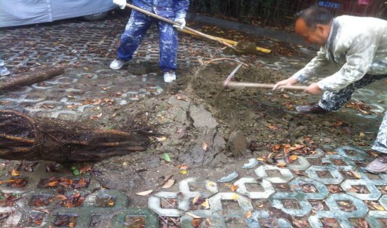 说明: /Uploads/Primary/Aspose.Words.d4eeae82-71bc-48c3-b1ea-ceabe803309f.005.jpeg