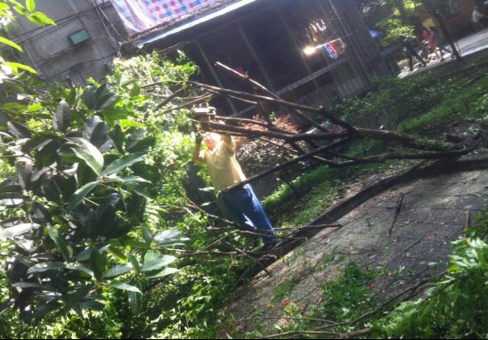 说明: /Uploads/Primary/Aspose.Words.d4eeae82-71bc-48c3-b1ea-ceabe803309f.006.jpeg