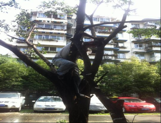 说明: /Uploads/Primary/Aspose.Words.d4eeae82-71bc-48c3-b1ea-ceabe803309f.007.jpeg