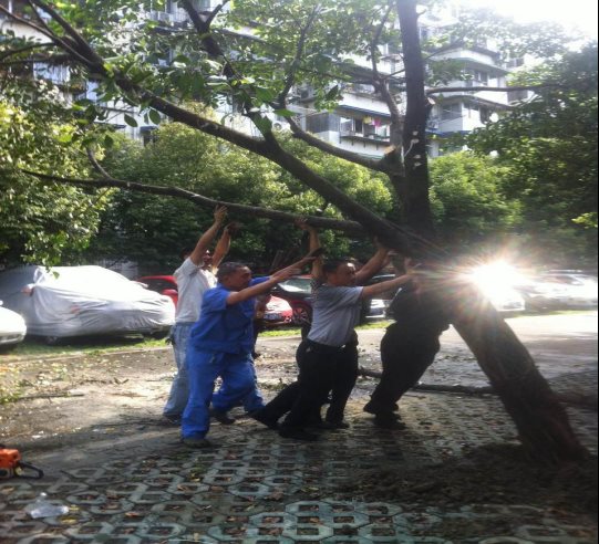 说明: /Uploads/Primary/Aspose.Words.d4eeae82-71bc-48c3-b1ea-ceabe803309f.008.jpeg